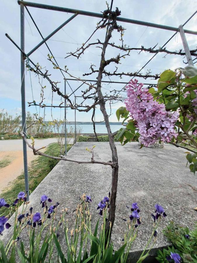 Apartmani Seaview Ljubač Exteriér fotografie